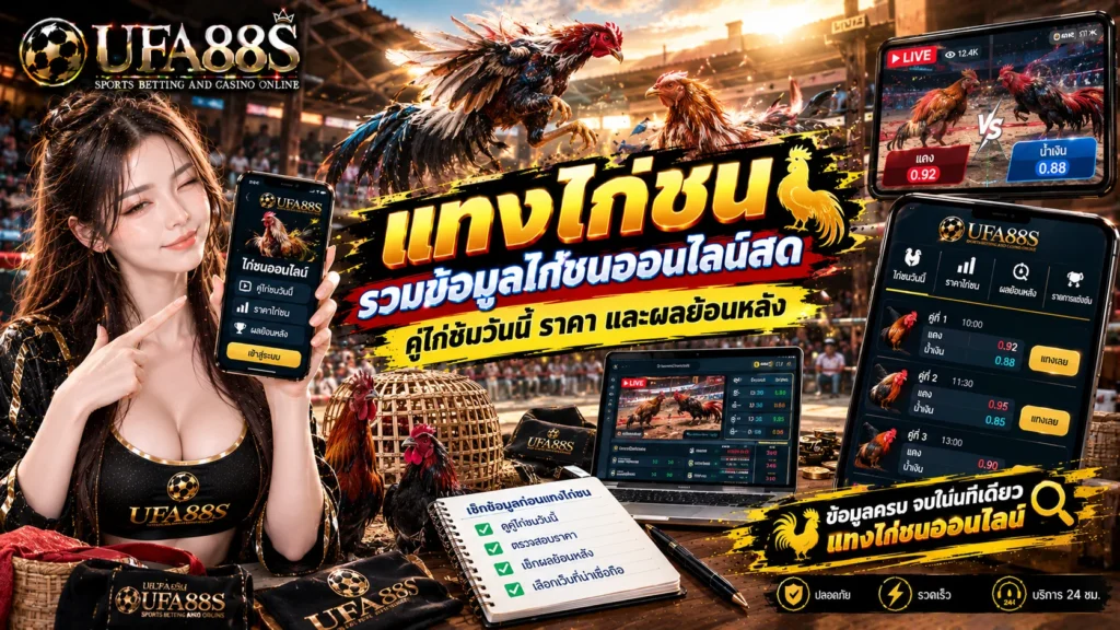 แทงไก่ชน