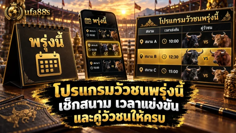 โปรแกรมวัวชนพรุ่งนี้