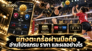 แทงตะกร้อผ่านมือถือ