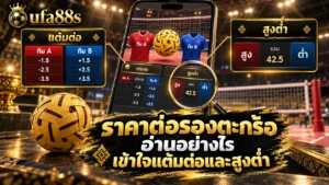 ราคาต่อรองตะกร้อ