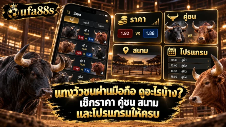 แทงวัวชนผ่านมือถือ