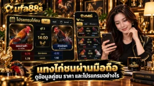 แทงไก่ชนผ่านมือถือ