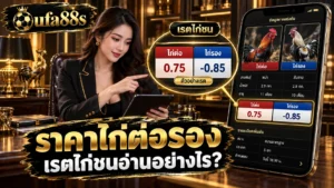 ราคาไก่ต่อรอง